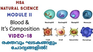 CirculationHSA NATURAL SCIENCEKTET 3SET [upl. by Nysilla]