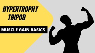 HYPERTROPHY TRIPOD  BASICS OF MUSCLE GAIN [upl. by Geiger]