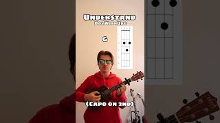 Understand  BoyWithUke Ukulele Tutorial [upl. by Nyladnar]