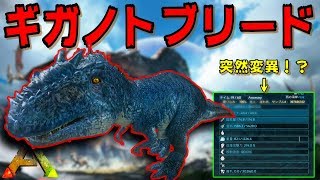 【ARKモバイル】初ギガノトブリーディングやってみたら、突然変異が生まれてた！？【スマホ版ARK】【実況】11 [upl. by Lamson580]