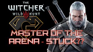 The Witcher 3  Master Of The Arena  Stuck [upl. by Denie628]