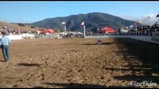 Barrileras Rodeo Rancho El Zorro [upl. by Keffer]