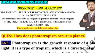 How does phototropism occur in plants [upl. by Yance]