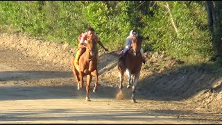 As chegadas mais disputadas  Corrida de cavalos [upl. by Rasla]