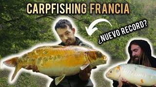 CARPFISHING FRANCIA Increibles carpas kois [upl. by Airotciv]