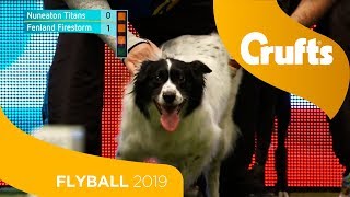 Flyball  Team Quarter Finals  Crufts 2019 [upl. by Esialb]