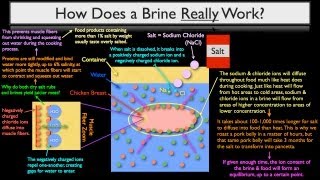 Understanding The Brining Process amp Stratagies  Part 2 of 4 [upl. by Anurag]