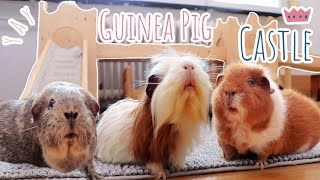 Guinea Pig Floor Time Vlog amp A Guinea Pig Castle [upl. by Awuhsoj]