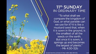 11th Sunday of Ordinary Time 6152024 [upl. by Lothar244]