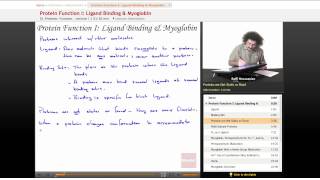 quotProtein Function Ligand Binding amp Myoglobinquot  Biochemistry with Educatorcom [upl. by Marnia227]