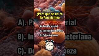 Para que sirve la Amoxicilina quiz sabiasque salud medicina farmacia medicamentos [upl. by Arrek]