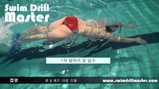 스윔 드릴 마스터  풀 amp 헤드 다운 드릴Pull amp Head down drill [upl. by Turnbull]