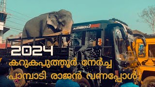 കറുകപുത്തുർ നേർച്ച 2024 l KARUKAPUTHUR NERCHA 2024 l puthuppallykeshavannerchafestival elephant [upl. by Barbara360]