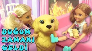 Barbie ve Ailesi Bölüm 158  Köpeğimiz Tuffy Doğum Yapıyor  Çizgi film tadında Barbie Oyunları [upl. by Ehpotsirhc940]