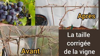 Comment corriger une vigne mal taillée  2024 [upl. by Eldreda]