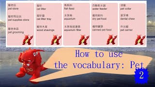 How to use the vocabulary Pet 578910 [upl. by Tattan]