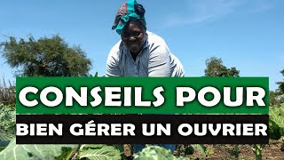 Conseil pour bien gérer une ferme agricole en Afrique [upl. by Onahpets649]