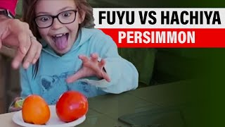 Fuyu vs Hachiya Persimmon  Differences Tips amp Persimmon Taste Test 😋 [upl. by Cazzie]