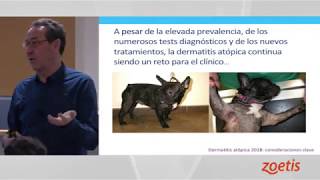 Cytopoint y la terapia con anticuerpos monoclonales en dermatologia Primera Parte [upl. by Htesil28]