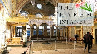 THE HAREM of the SULTANS in the TOPKAPI PALACE  ISTANBUL VLOG [upl. by Grimbly]