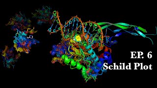 6 Schild Plot  Molecular Pharmacology [upl. by Pich]