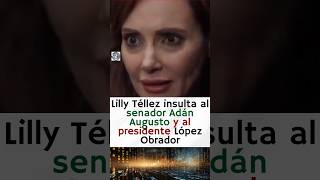 Lilly Téllez insulta al presdente Lopez Obrador llamandolo burro 😱😡 [upl. by Rolyt]