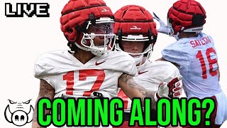 Razorbacks Coming Along In Spring Camp [upl. by Nehepts]