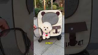 This pet trolley box is so convenient it can be removed as a backpack Pet trolley casePet bac [upl. by Talbott]