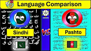 Sindhi Vs Pashto Language Comparison Indo Aryan and Indo Iranian Pakistani languages comparison [upl. by Bonni]