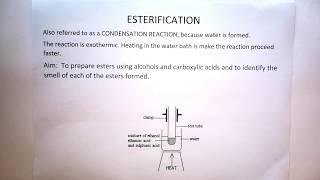 Esterification Theory for Practical Gr 12 [upl. by Athalia]