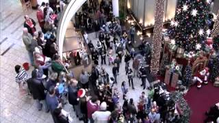 Christmas Flash Mob [upl. by Pardoes]