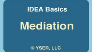 IDEA Basics Mediation [upl. by Grimbald]