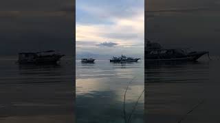 MOMO BEACH boholadventure travel beach panglao [upl. by Draude]