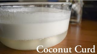 Coconut Milk curd Healthy Vegan Curd [upl. by Anauqat]