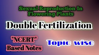 Double Fertilisation [upl. by Ybbed]