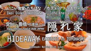 【AICHI JAPAN】HIDEAWAY Eateries in Toyohashi ～Ikoi Diner TACHIBANA  Café Atelier Role～ [upl. by Hilde]