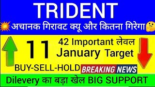 Trident share latest news today Trident share news today Trident stock news today [upl. by Ydiarf645]