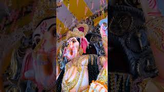 KAMLA NAGAR BALKESHWAR AGRA GANPATI MAHARAJ 🙏 shortvideo apnaagra ganpatibappamorya [upl. by Nirok676]