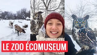 EXPLORE MONTRÉAL  Le Zoo Écomuseum [upl. by Dyrrej]