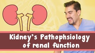 Kidneys Pathophysiology of renal function [upl. by Amsab719]