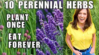 TOP 10 BEST Perennial Herbs To Grow in November Plant Once Harvest Forever [upl. by Coltin]