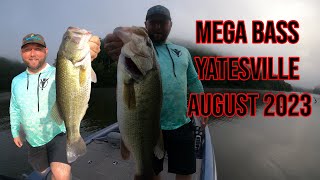 58 POUND HAMMER  Yatesville Lake  August 2023 [upl. by Yerhcaz709]