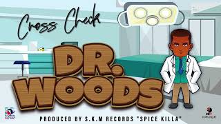 Cross Check  Dr Woods Official Audio  Soca 2025 [upl. by Ecyoj]