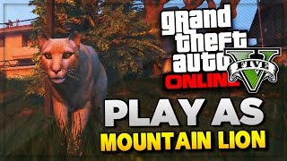 GTA 5 PS4 Next Gen  Play Rare Animals Peyote Location  GTA 5 Easter Eggs Gameplay GTA V [upl. by Perl]