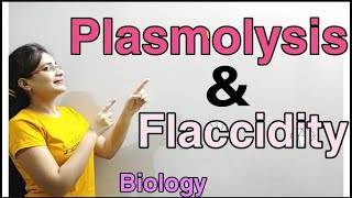 DG Pathshala Plasmolysis Flaccidity Absorption by Roots Topic for Class10 ICSE Biology [upl. by Aisinut214]