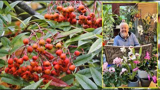 SORBIERS DES PETITS ARBRES TRÈS TOLÉRANTS ÉCOLOGIQUES ET FLORIFÈRES Le Quotidien du Jardin N°444 [upl. by Andaira754]