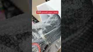 سكوتر الوحش الاكثر طلبا افضل سكوتر على الاطلاق [upl. by Selima813]