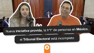 Capítulo 11 Nueva iniciativa provida la trt de personas en México Tribunal Electoral incompleto [upl. by Nicolella]