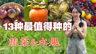 【种植99】13种超级值得种的蔬菜水果，性价比高，种起来才划算 13 types of vegetables and fruits worth growing in backyard [upl. by Claudianus980]