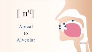 nᶣ  unvoiced palatalized labialized apical alveolar nasal stop [upl. by Anytsirk]